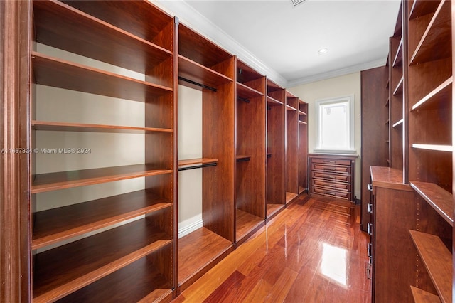 spacious closet with hardwood / wood-style floors