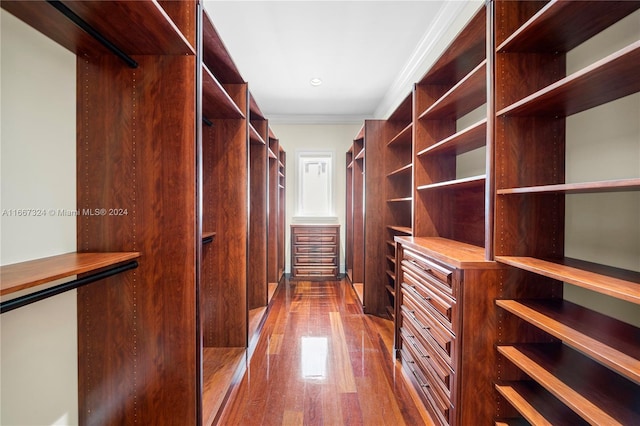 walk in closet featuring wood-type flooring