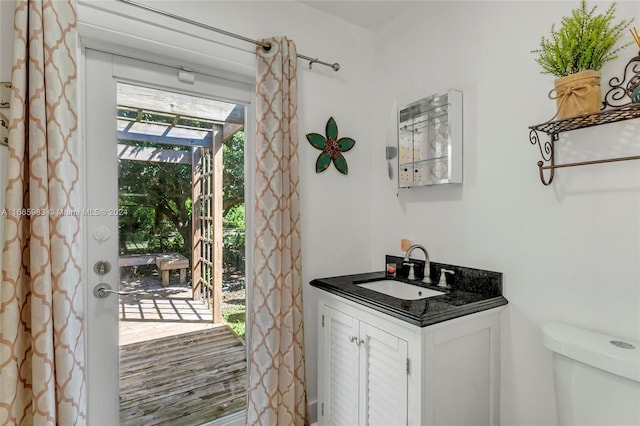 interior space featuring vanity, a shower with curtain, a healthy amount of sunlight, and toilet