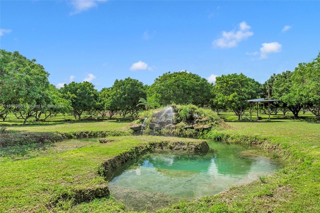 property view of water