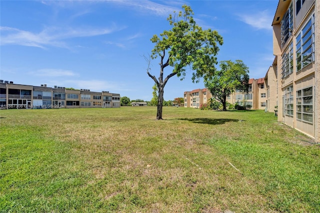 view of yard