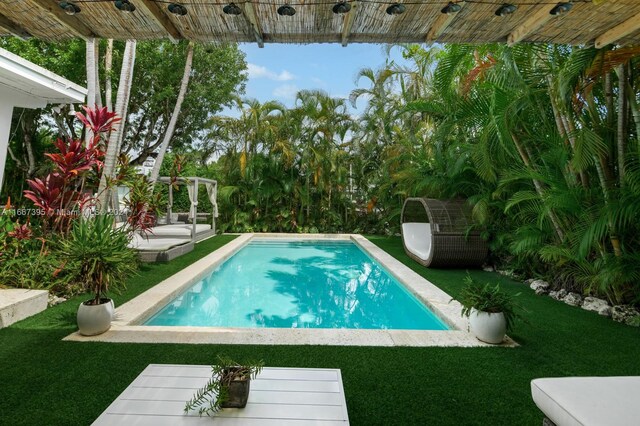 view of swimming pool with a patio and a lawn