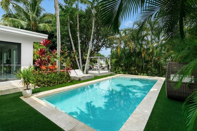 view of pool featuring a yard and a patio area