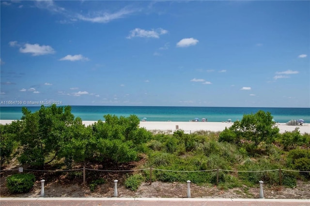 property view of water with a beach view