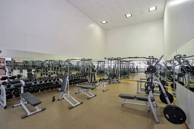 exercise room featuring a drop ceiling and a high ceiling