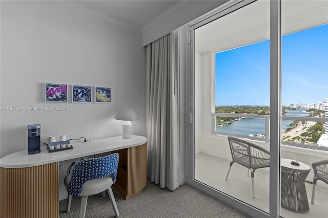 office space featuring carpet flooring, a water view, a healthy amount of sunlight, and crown molding