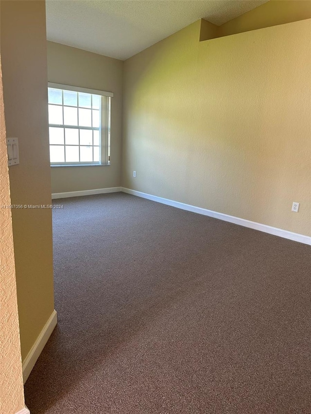 empty room featuring a textured ceiling and carpet flooring