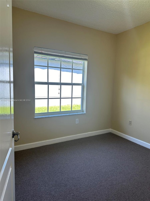 carpeted spare room with a textured ceiling and a wealth of natural light