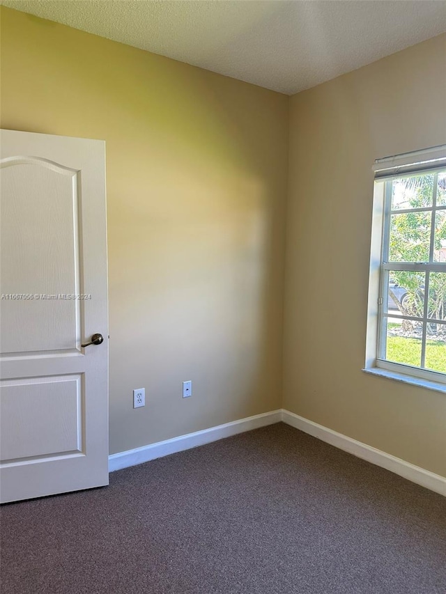 spare room featuring a textured ceiling and carpet