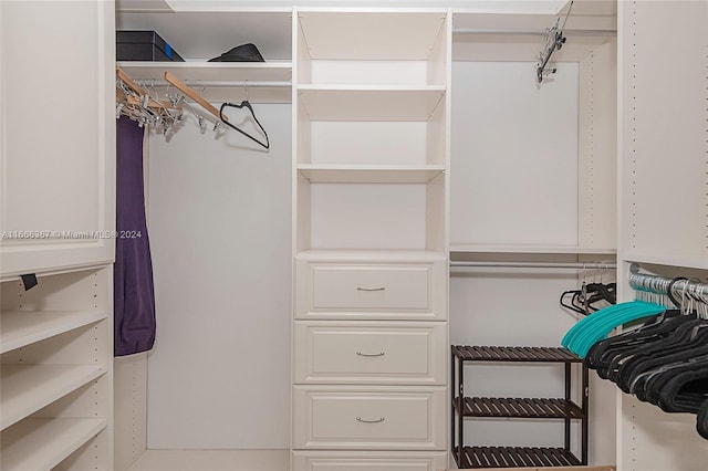 view of spacious closet