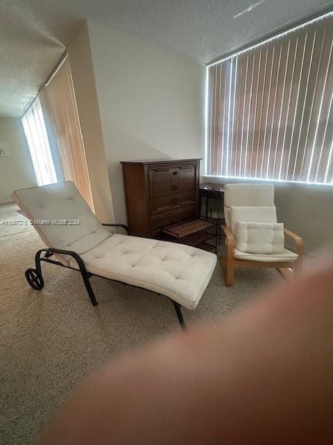 bedroom featuring a textured ceiling and carpet