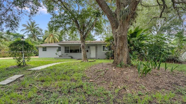 back of property featuring a lawn and stucco siding