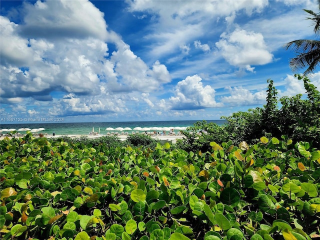 property view of water featuring a view of the beach