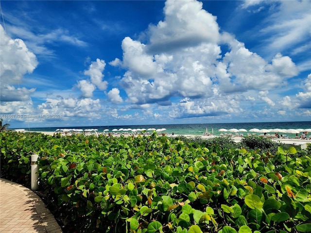 view of water feature with a view of the beach