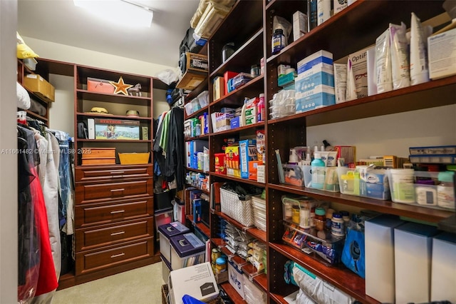 walk in closet with carpet floors