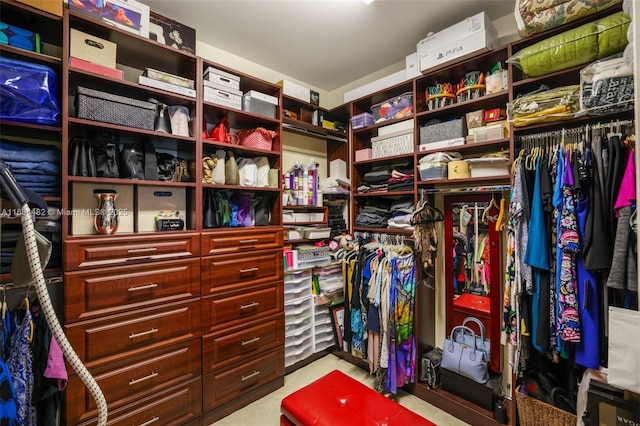 view of spacious closet