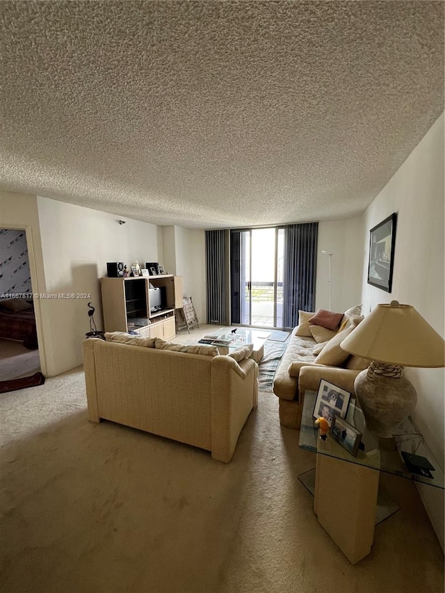 living room with a textured ceiling and light colored carpet