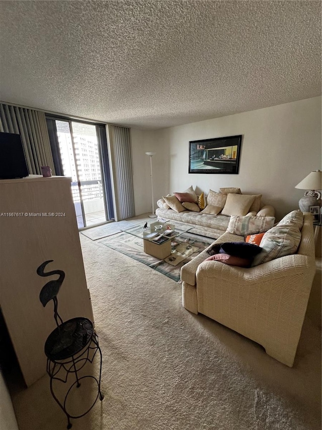 carpeted living room with a textured ceiling