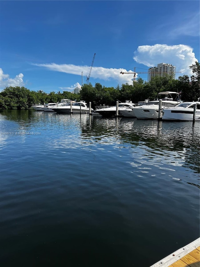 view of water feature featuring a dock