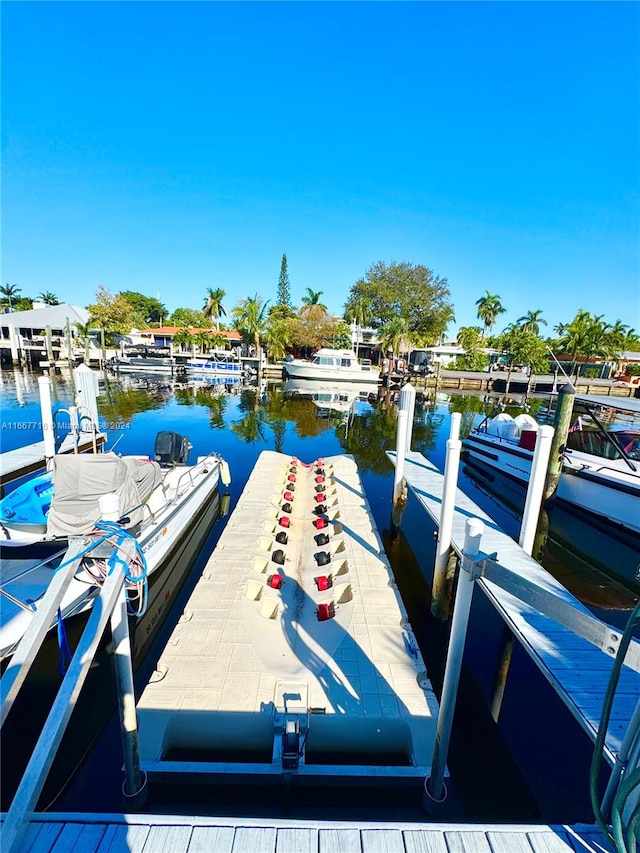 dock area with a water view