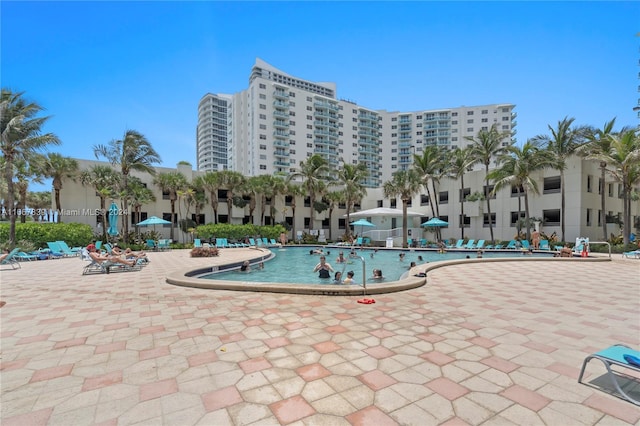 view of pool featuring a patio