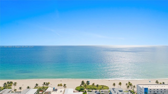 property view of water featuring a beach view