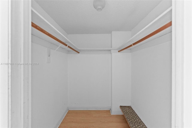 spacious closet with wood-type flooring