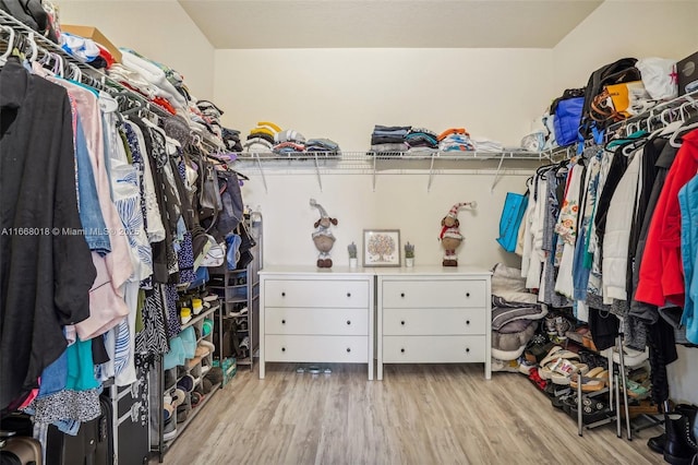 spacious closet with light wood finished floors