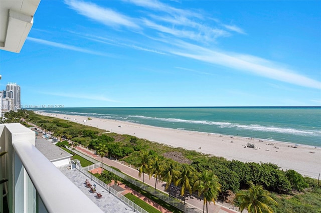 water view featuring a beach view