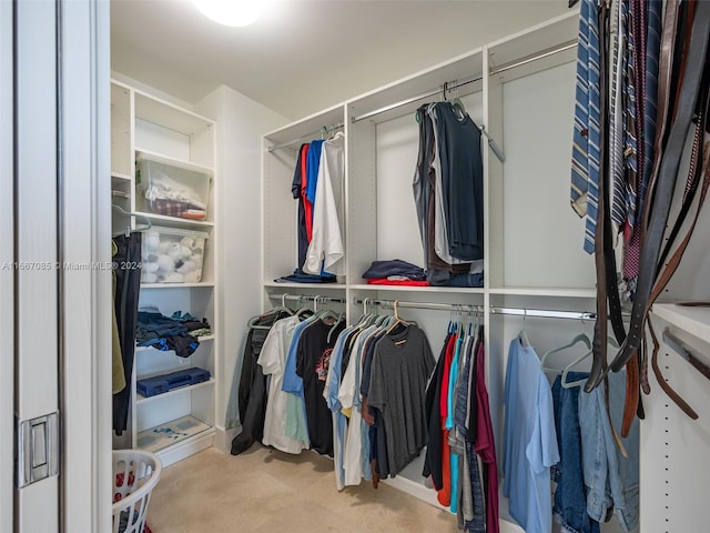 spacious closet featuring light carpet