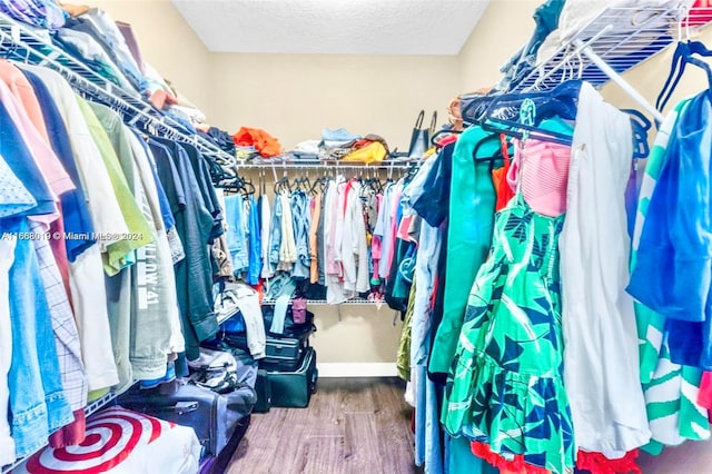 walk in closet featuring wood-type flooring