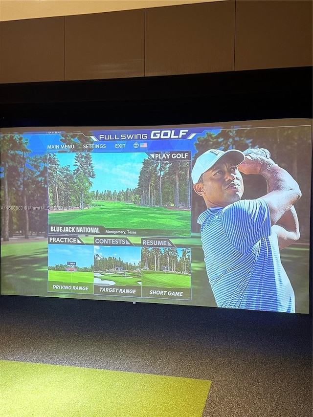 details with golf simulator