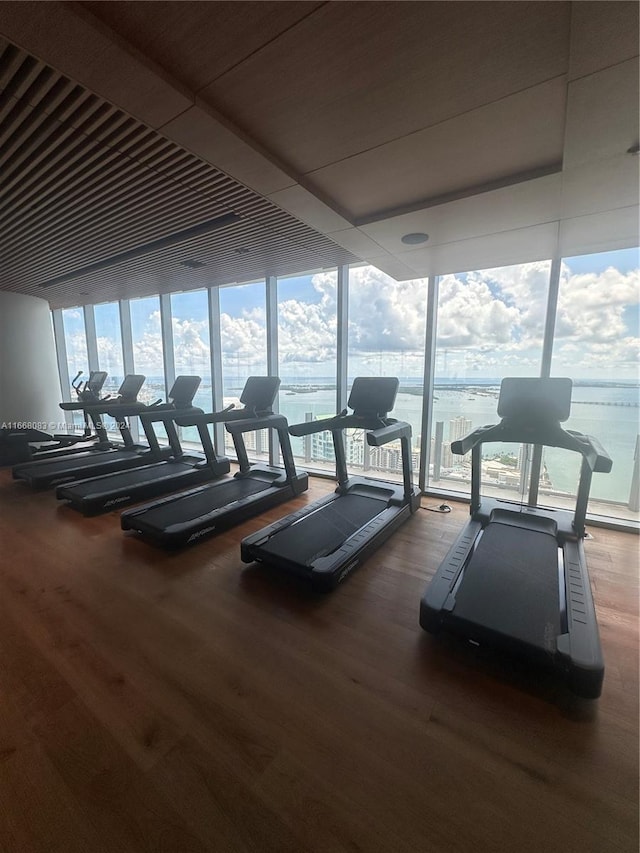 gym featuring a wall of windows, a water view, and hardwood / wood-style floors