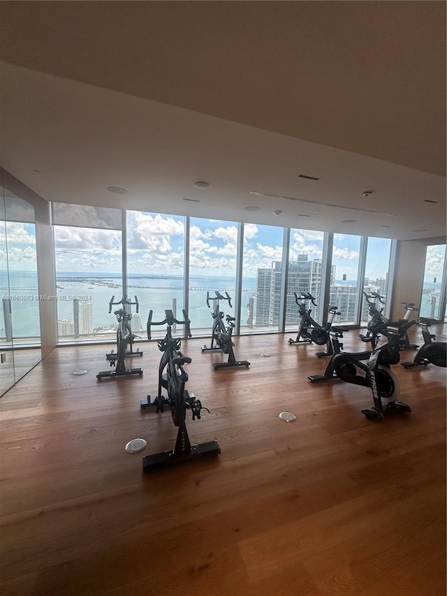 workout area with wood-type flooring, a water view, and floor to ceiling windows