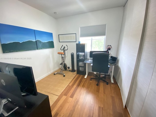 office area featuring wood-type flooring