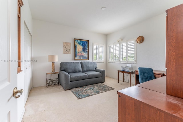 view of carpeted home office