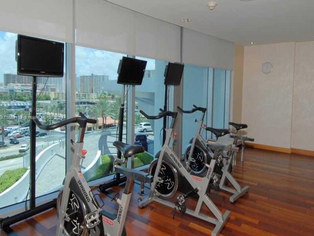 workout area featuring wood-type flooring