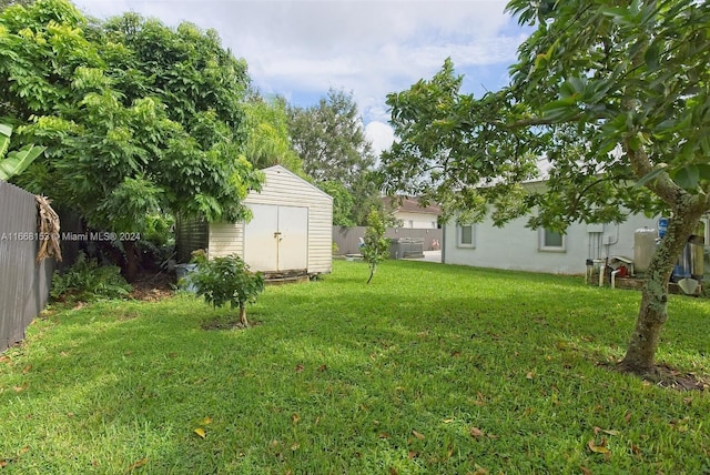 view of yard with a storage shed