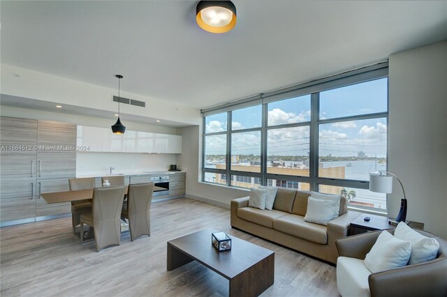 living room featuring sink and light hardwood / wood-style flooring