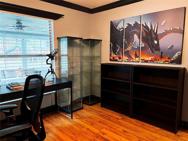 office featuring wood-type flooring and crown molding