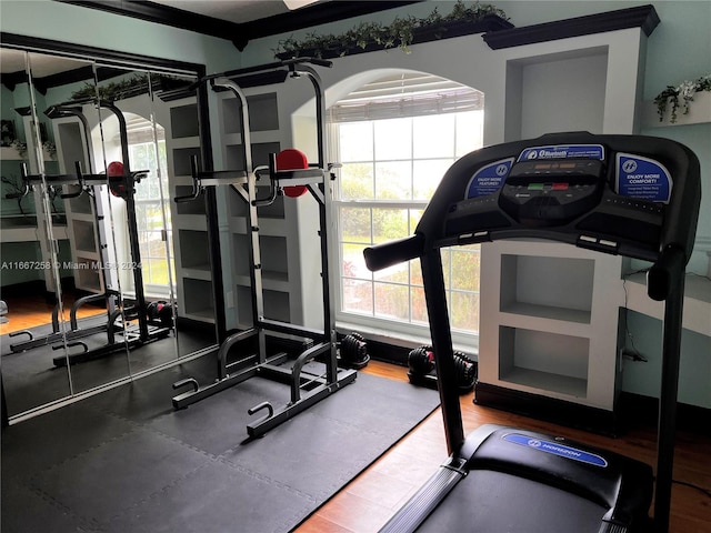 exercise room with crown molding and hardwood / wood-style floors