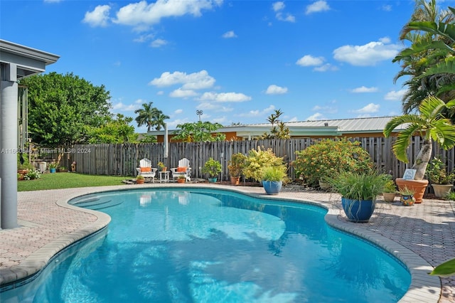 view of swimming pool featuring a patio