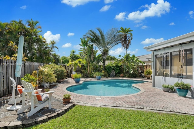 view of pool featuring a sunroom and a patio area