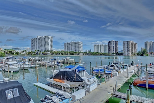 dock area featuring a water view