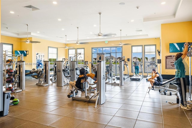 workout area featuring a healthy amount of sunlight, a tray ceiling, and ceiling fan