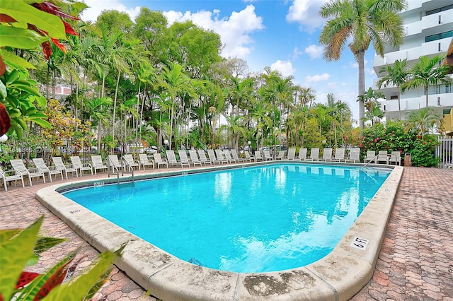 view of swimming pool