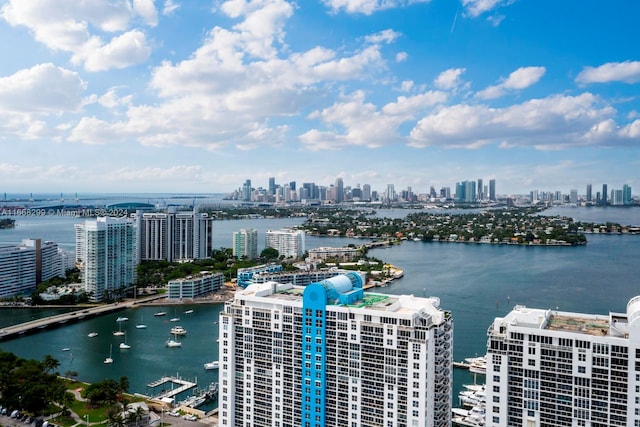 bird's eye view with a water view