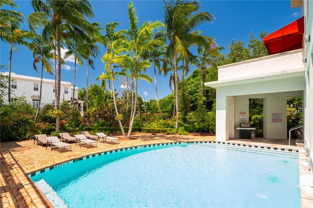 view of pool featuring a patio