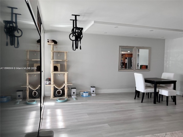 dining area with light hardwood / wood-style floors