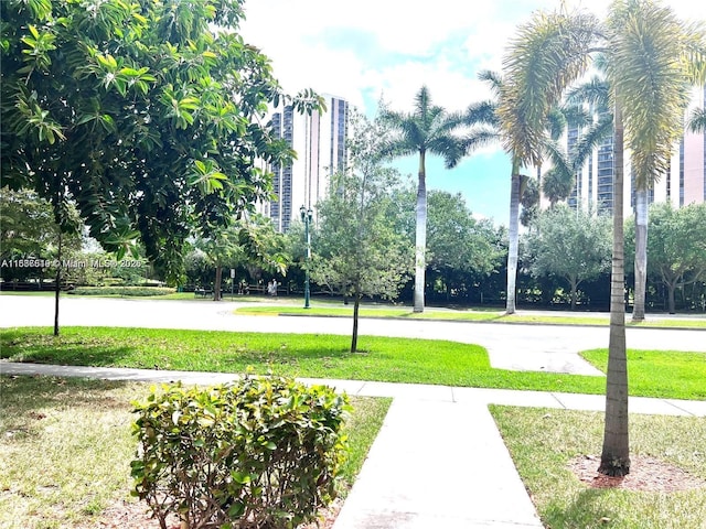 view of community featuring a lawn